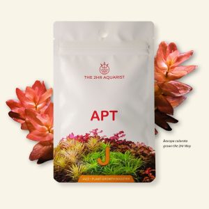 APT J / JAZZ