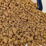 Succulants and Aquariums-