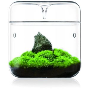 Bioloark Moss Bottle | MY120-