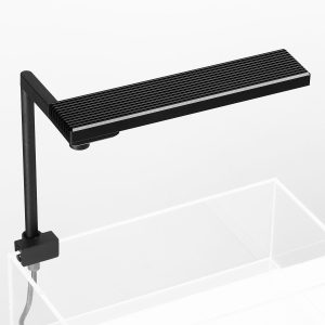 CHIHRIOS CII RGB LIGHT-