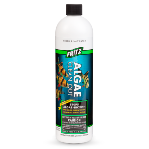 Fritz Algae Clean Out