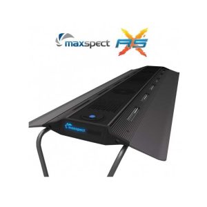 Maxspect RSX R5-300/R5F-300 light-