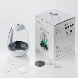 Tiny terrarium egg 360-001-