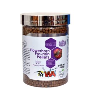 WA Flowerhorn Promin Pellets | For Growth and Proper nutrition