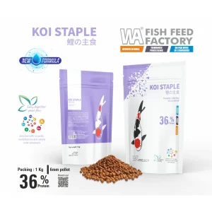 WA Koi Staple | 1Kg Pack-