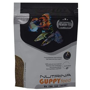 WA Nutrina Guppy Feed | 25gm