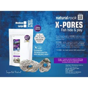 X- Pores large Fish hiding caves for fishes-